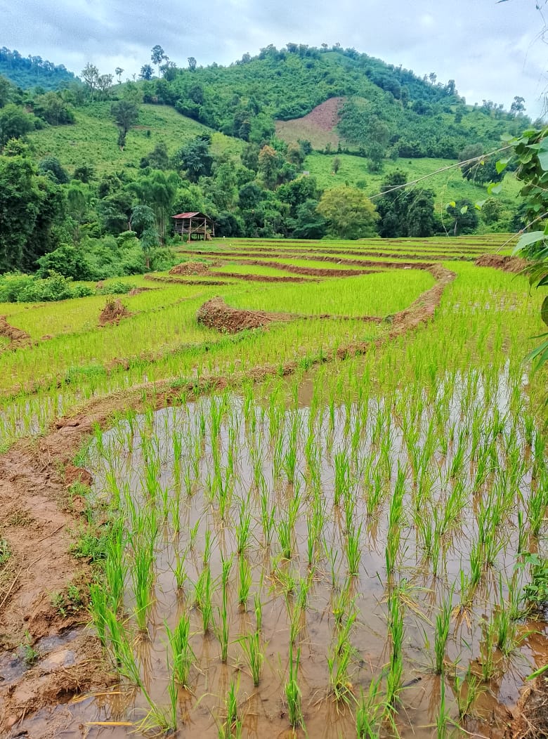 Authentic Hmong & Khmu Trek from Luang Prabang — photo 4